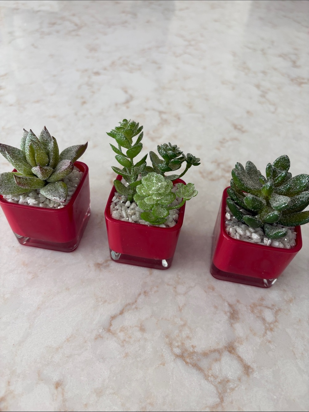Mini Faux Succulent Trio in Red Glass Square Pots -